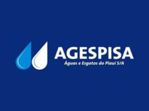 Hidrômetros agespisa Fae Technology Company